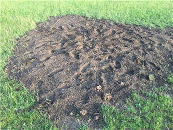Please do not use the Football pitches while grass re-seeding takes place