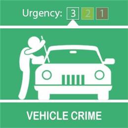 Theft From Motor Vehicles