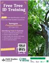 Free Tree Training in Ramsgate