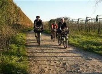 cycling, Kent Downs - Reminder - Walking & Cycling in the Kent Downs