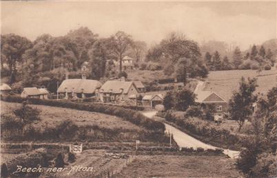 Beech near Alton  08.07.1929 - New Postcard added to website