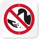 Please don't feed the Ducks