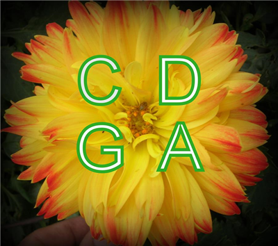 Collingham and District Gardening Association