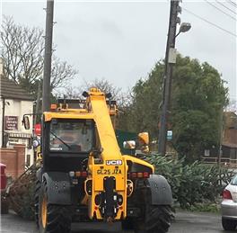 CHRISTMAS LIGHTS SWITCH ON 2025