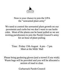 Weed Picking in the community!