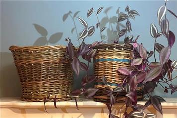 Make a willow planter