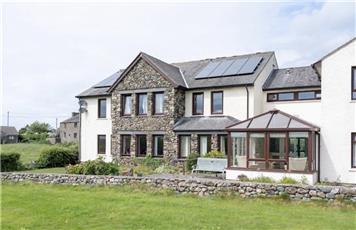 Volunteer clean up day