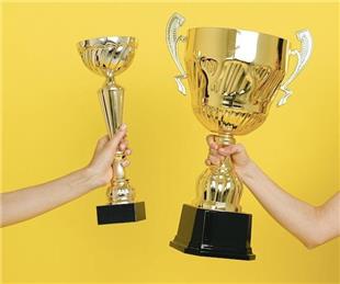 L.E.B.B.A. COMPETITION DRAWS