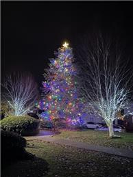 Thank you to Jackson Civil Engineering (Key Street Project)