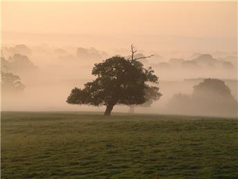 Riparian Landowners' Responsibilities