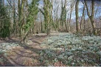 Day Walk - Dimmingsdale Nature Reserve