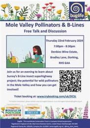 Mole Valley Pollinators & B-Lines