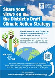 Horsham DC - Climate Action survey