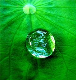 Stillness and Remembrance