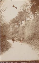 New Postcard added to website