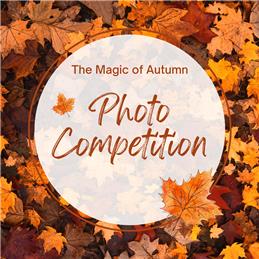 🍁 Celebrate Autumn in Seend! 🍂