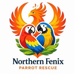 Northern Fenix Parrot Rescue – Our New Website Is Live! 🦜