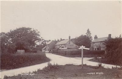 Medstead from the Green c1905 - New Postcard added to website