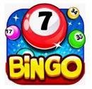 Bingo night- Sat 11th Nov- 7.00pm