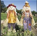 Scarecrows are go!