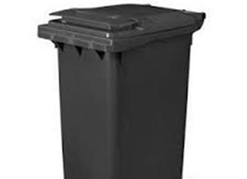  - Bin Collection schedule for 2022