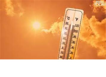 Updates after the Heatwave
