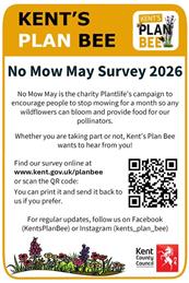 Kent's Bee Plan - No Mow May - KCC Survey