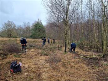 Monday 20th April 2026 Burghclere Common