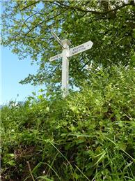 Sit & Stitch - Colcombe Castle, Colyton