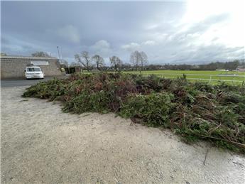 Hedge gets 'Lionel Blaircut'