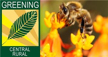 Godshill, Arreton, Rookley, and Chillerton unite for a greener and healthier landscape