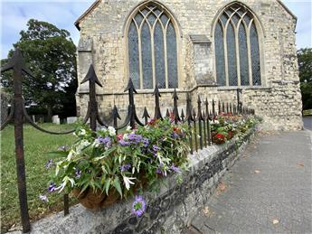 AGM November 20th 2026