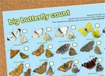  - Take Part in the Big Butterfly Count