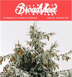 Christmas Edition of Broadsheet magazine