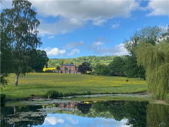 Three for the price of one!