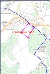 Pineapple Field: A Major Transformation for Our Community