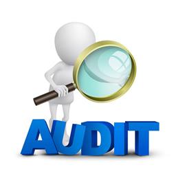 Parish Council Audit 2022-23 is now completed