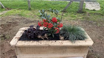 Oak Planters on the Green