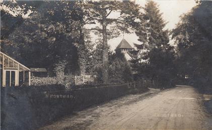 Wield Road c1910 - New Postcards added to website