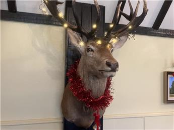 CHRISTMAS PARTY AT MALSHANGER