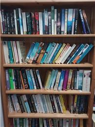 Book and Jigsaw Library