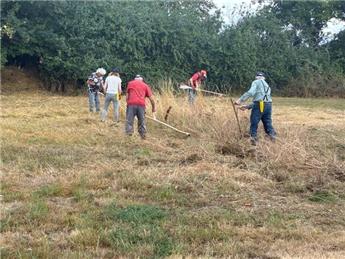 Volunteers at work in Burial Ground