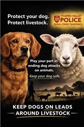 Thames Valley Police Rural Crime Taskforce - Advice for dog walkers around livestock