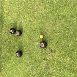 Wotton-under-Edge Dominate