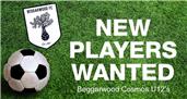 New Players Needed For Next Season  2018/19