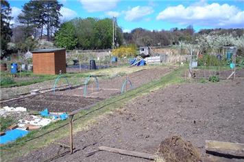 Allotments Available