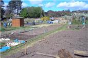 Allotments Available