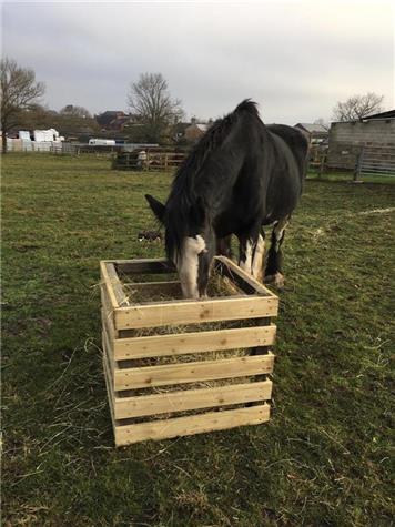  - Horse hay Feeder/forage box