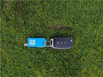 Winter Bowling Green Damage