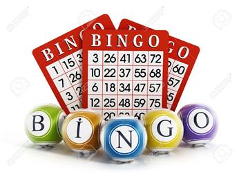 Bingo Evening